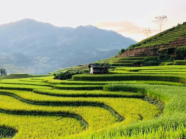 Sa Pa Trekking 2d/1n Hotel by Night Train