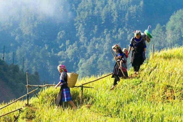 Sa Pa Trekking 2D/1N Stay at hotel by bus