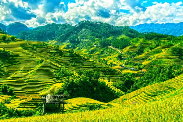 Sa Pa Trekking 3 days /2 nights at Homestay, by night train