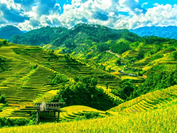 Sa Pa Trekking 3 days /2 nights at Homestay, by night train