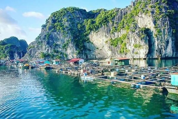 Ha Long – Lan Ha bay – Cat Ba island – Ninh Binh 4 days (Join group + Private tour)