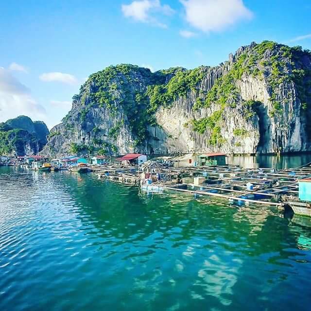 Ha Long – Lan Ha bay – Cat Ba island – Ninh Binh 4 days (Join group ...