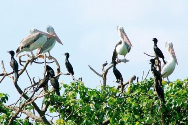 Phnom Penh – Mekong 2 days – Private tour