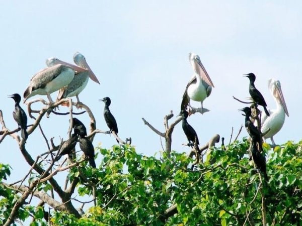 Phnom Penh – Mekong 2 days – Private tour