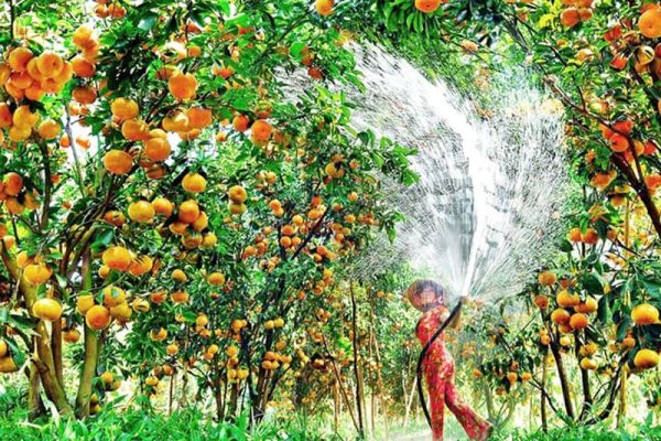 HCM – Mekong – Phnom Penh 2 days/1night – Private tour