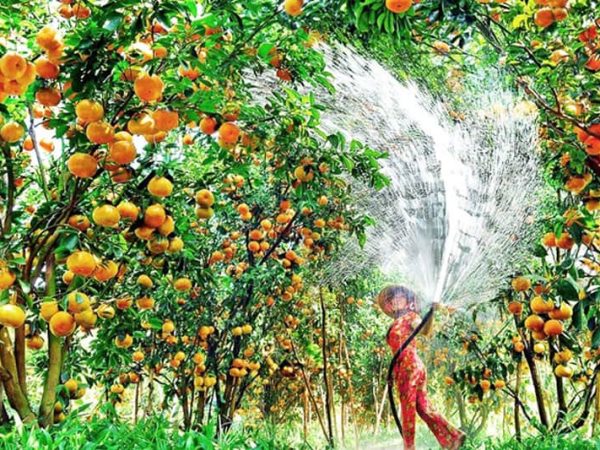 HCM – Mekong – Phnom Penh 2 days/1night – Private tour