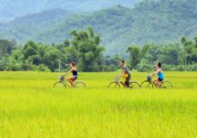 Tam Coc – Hoa Lu – Mua Cave circuit in Ninh Binh – Ha Long Bay on land