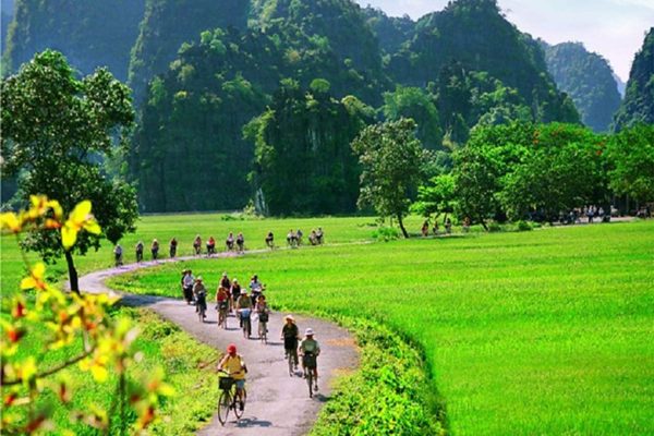 Tam Coc – Cuc Phuong NP – Van Long nature Reserve 2days