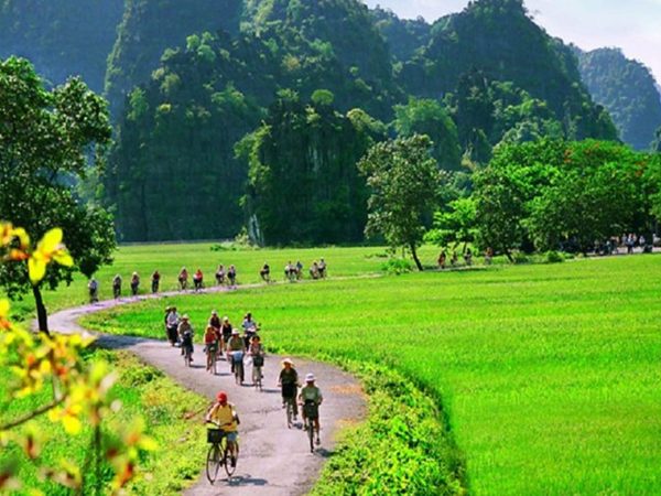 Tam Coc – Cuc Phuong NP – Van Long nature Reserve 2days