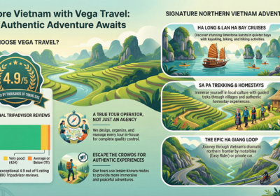 Vega Travel: Your Premier “True Tour Operator” for Authentic Vietnam Adventures