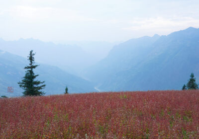 Best Time to Do the Ha Giang Loop: A Month-by-Month Guide