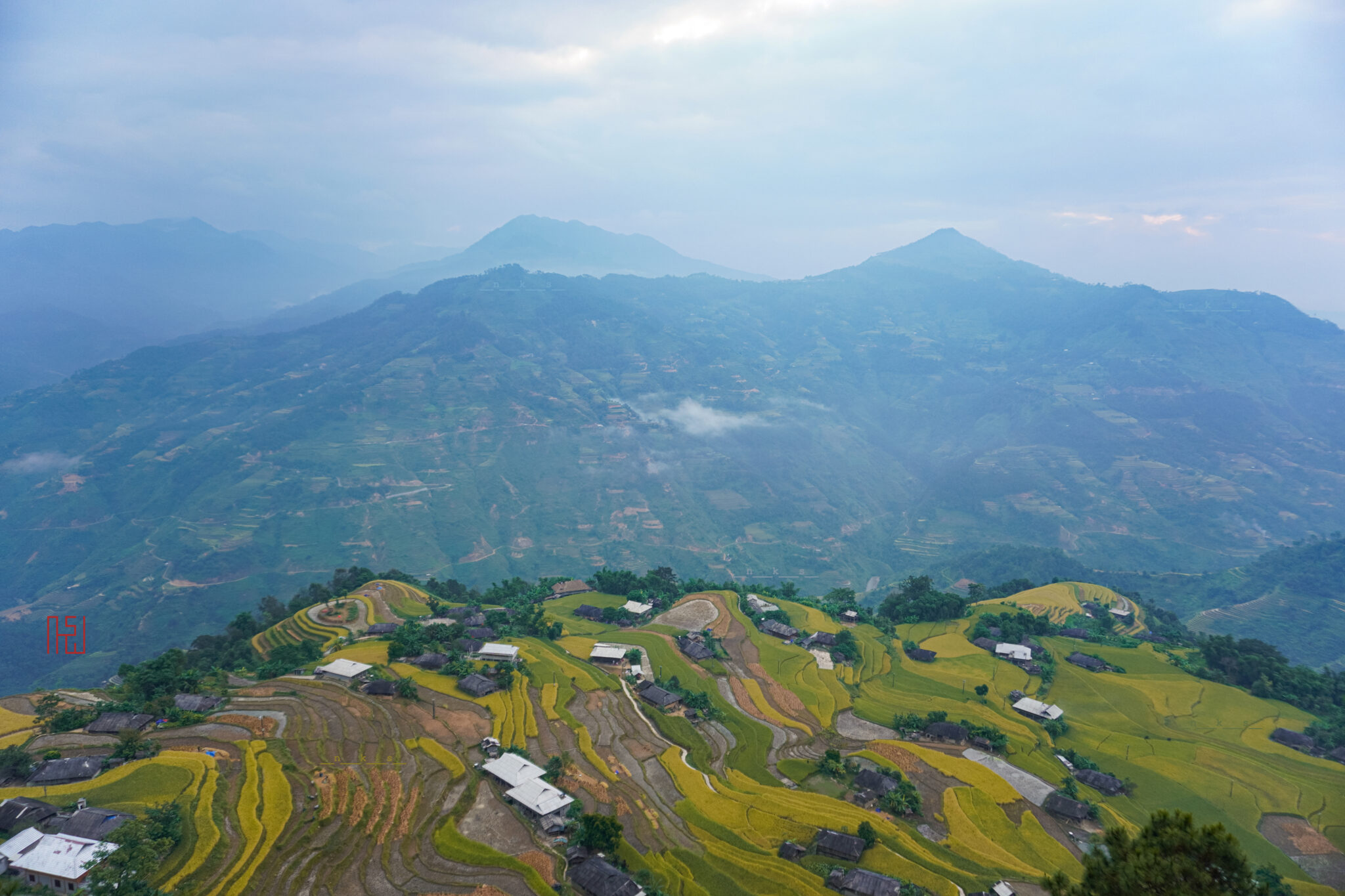 Golden ripe rice terraces at Ban Phung, Hoang Su Phi, Ha Giang, Vietnam in autumn